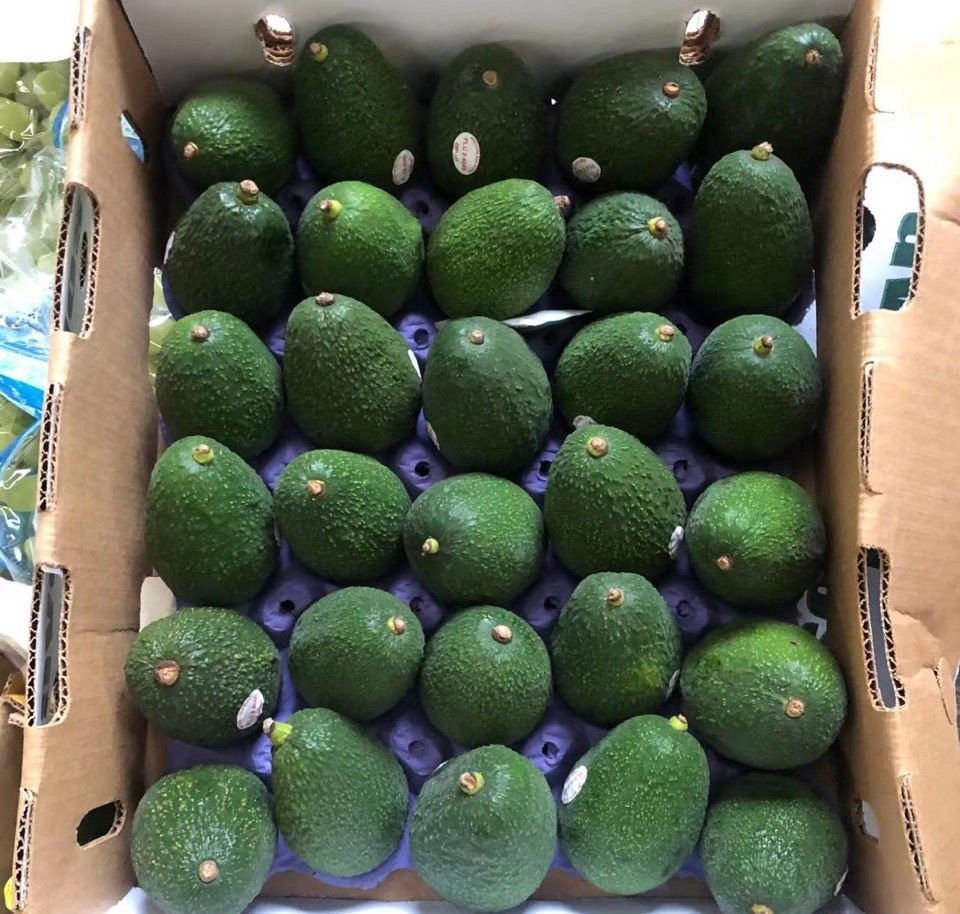 Fresh avocado (organic fruit)-P - Image 4