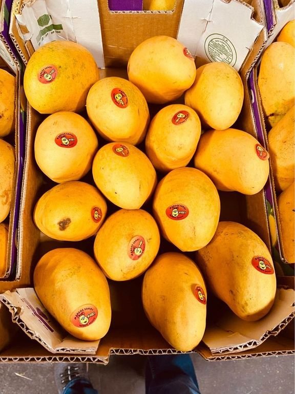 Freshly picked yellow mangoes-P - Image 3