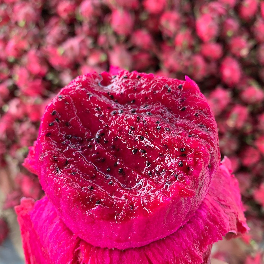Fresh dragon fruit (organic fruits)-P - Image 5