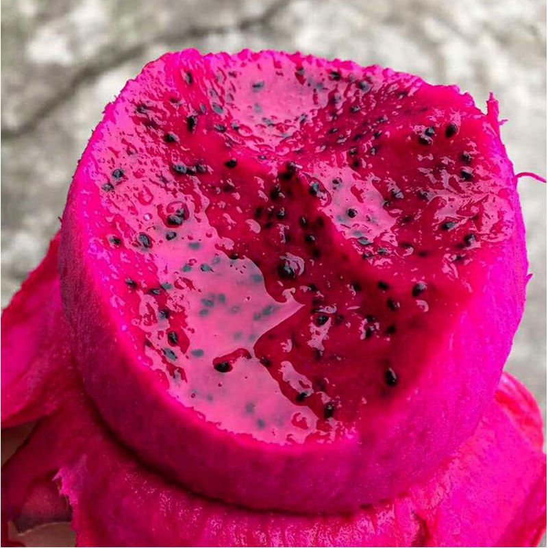 Fresh dragon fruit (organic fruits)-P - Image 6