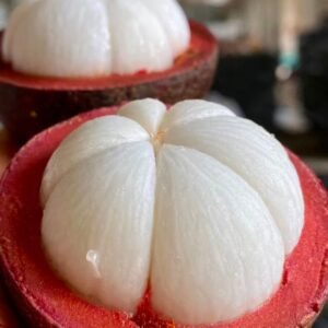 Fresh mangosteen (organic fruit)-P