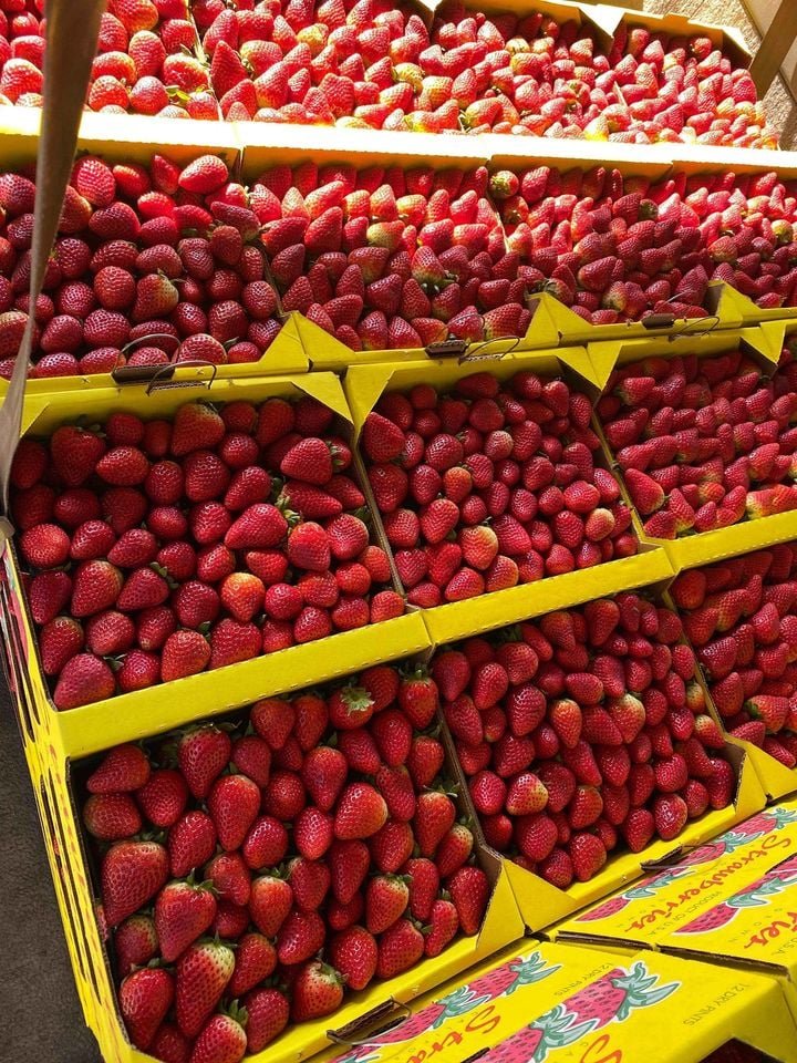 Fresh strawberry (organic fruit)-P - Image 2