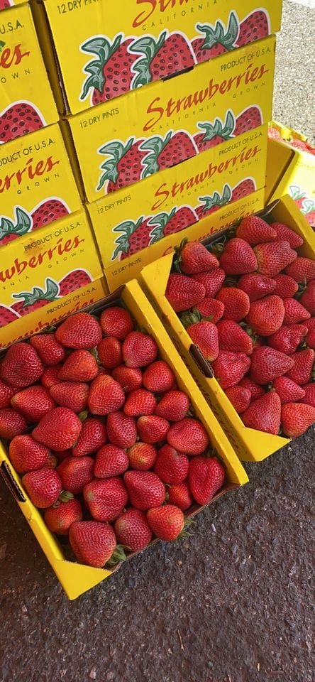 Fresh strawberry (organic fruit)-P