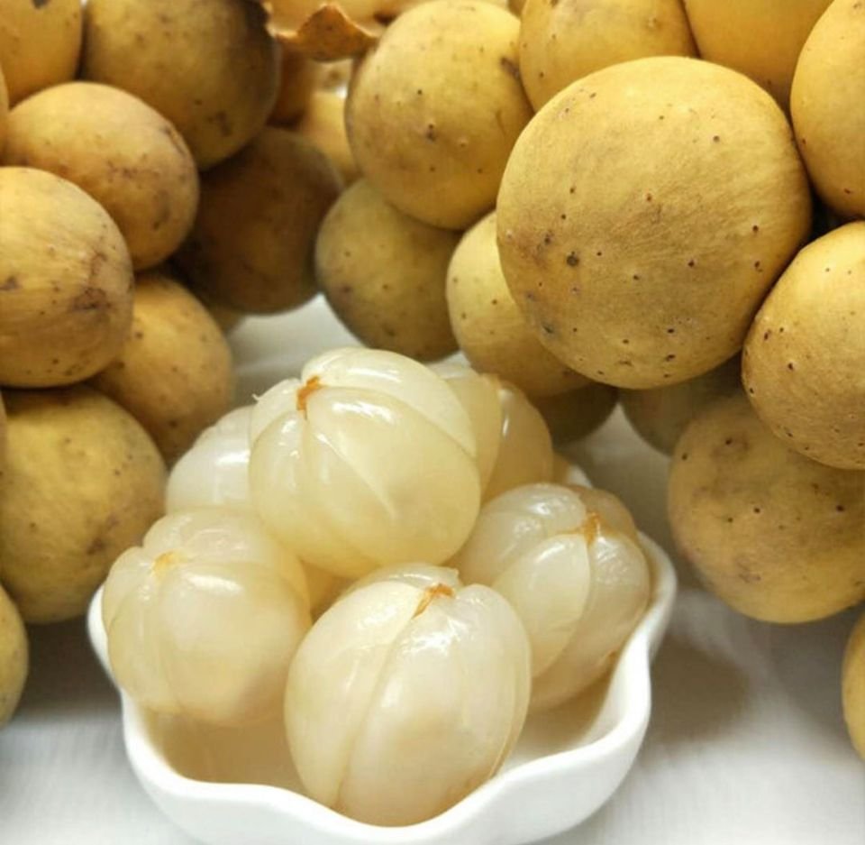 Fresh lansones (organic fruit)-P - Image 4