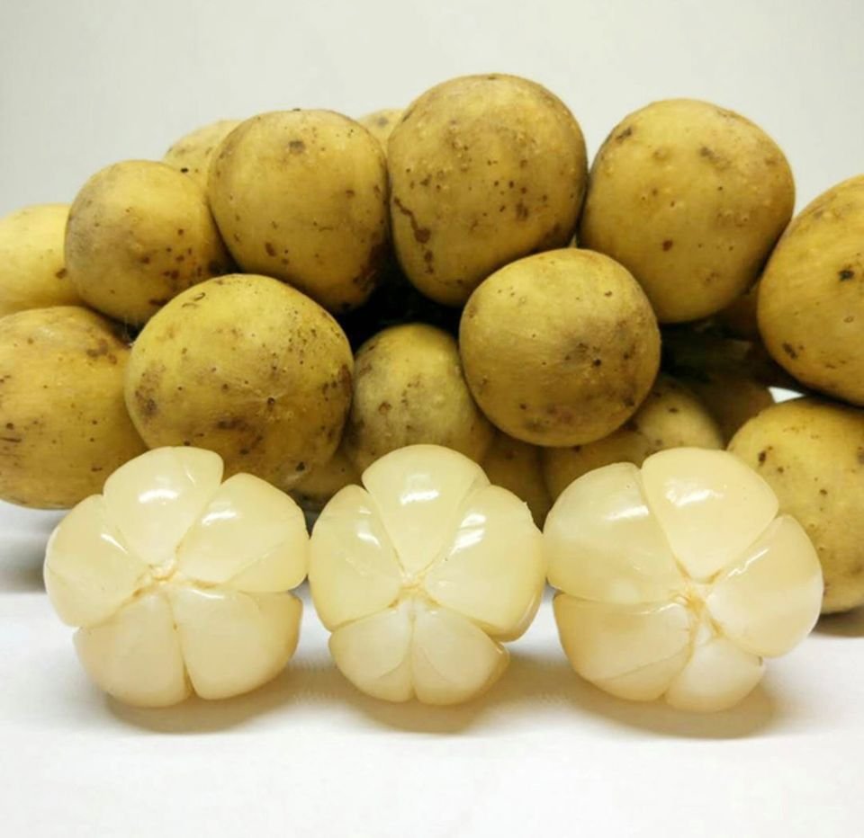 Fresh lansones (organic fruit)-P - Image 5