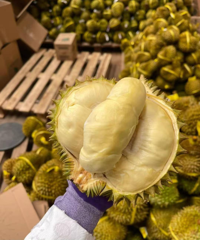 Thai golden pillow durian (organic fruit)-P - Image 2