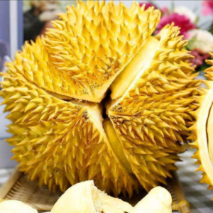 Thai golden pillow durian (organic fruit)-US