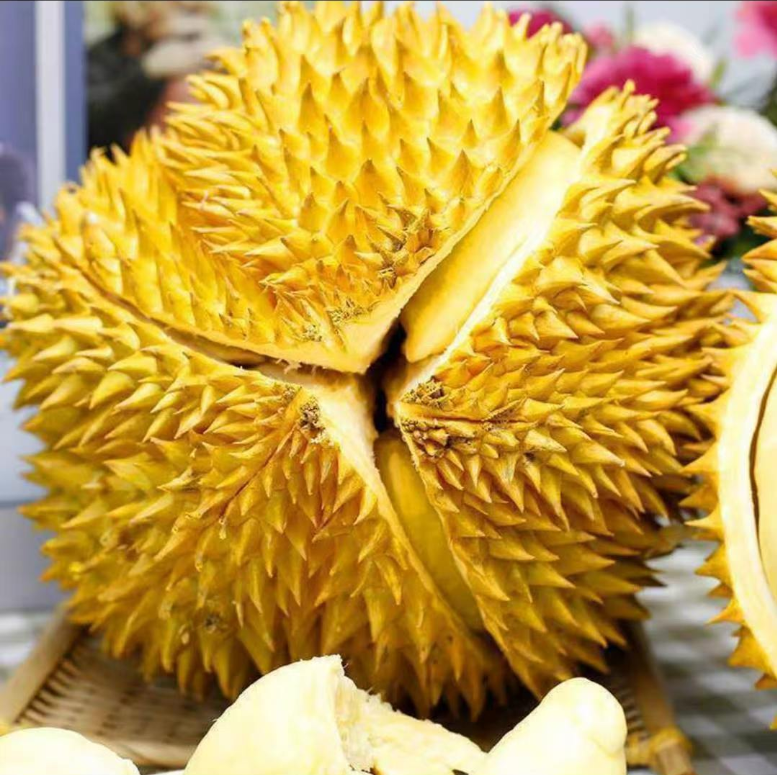 Thai golden pillow durian (organic fruit)-P