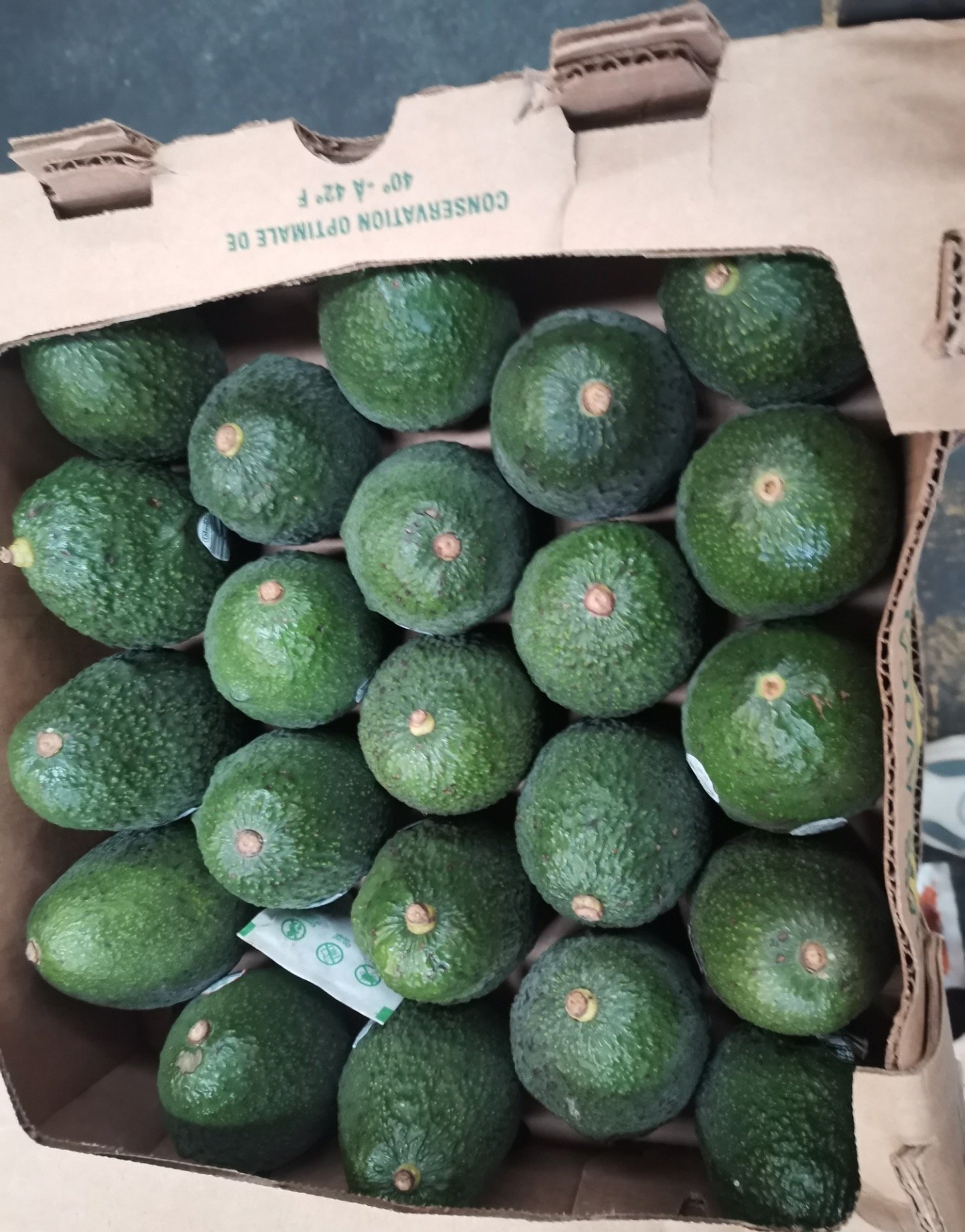 Fresh avocado (organic fruit)-P - Image 5