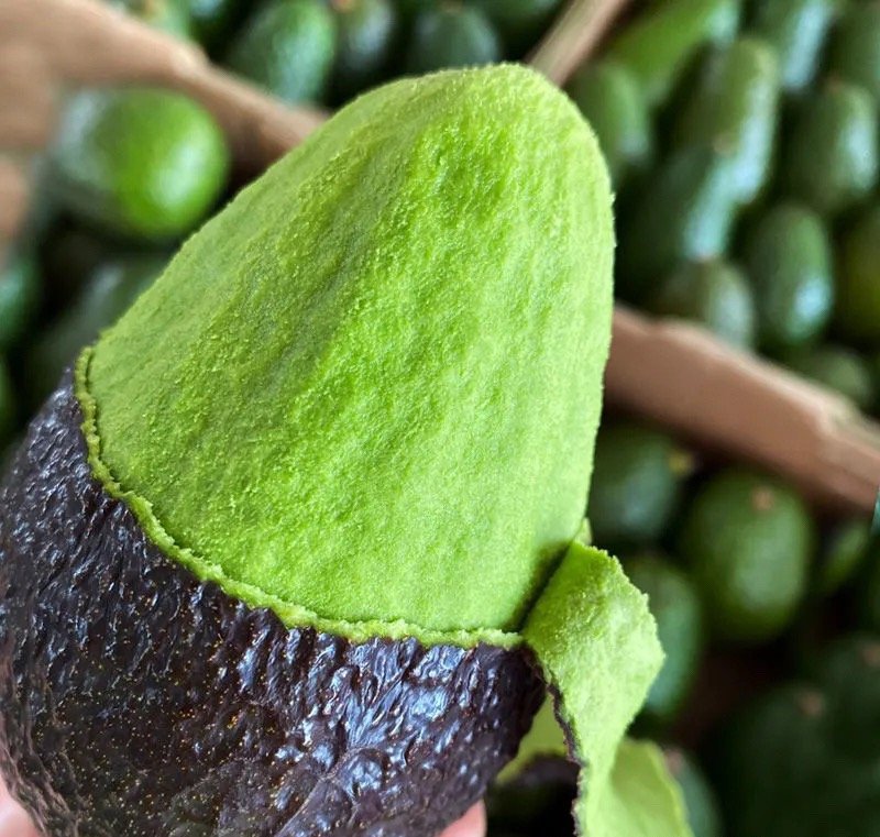 Fresh avocado (organic fruit)-P