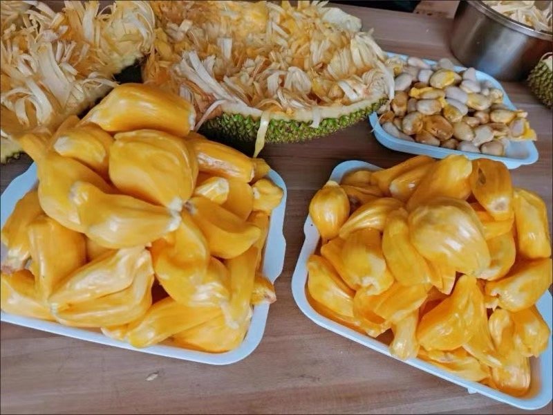 Fresh jackfruit (organic fruit)-P - Image 5