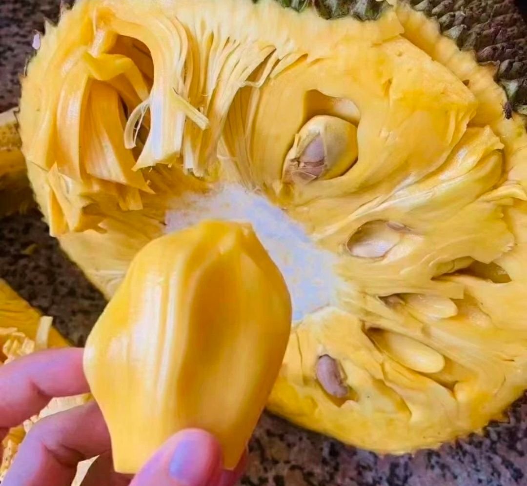 Fresh jackfruit (organic fruit)-P - Image 2